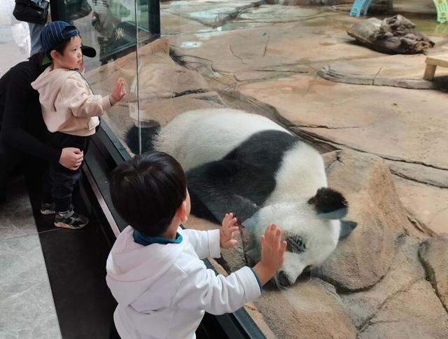 寒假遛娃不挨冻！室内游玩项目受宠