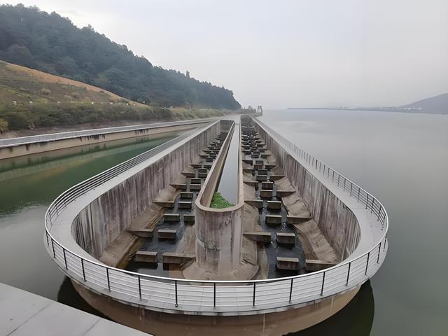 三峡大坝蓄水超20年，里面最大的鱼有多大？