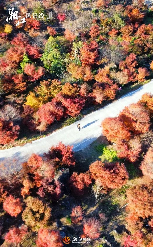 湖南“追枫”地图更新！哪片红对你的味？