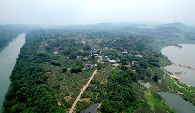 綦河故事讲不完