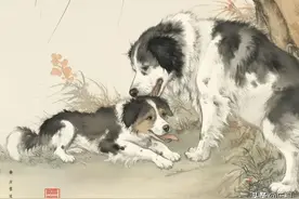 1982年出生的属狗人在2025年迎来43岁，这一年运势确实不一样图片