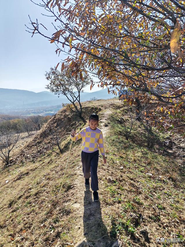 周末登山---红山寨