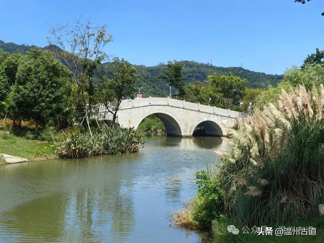 浙南最大的乡镇湿地公园原来在这里！
