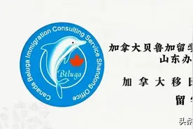 加拿大限制留学政策解读图片