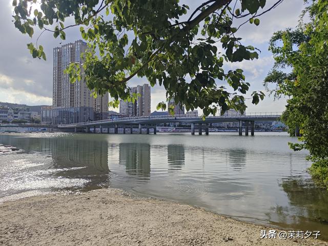 福鼎市区一日游：从白茶发源地到市井小吃赏唐风建筑品山海韵味
