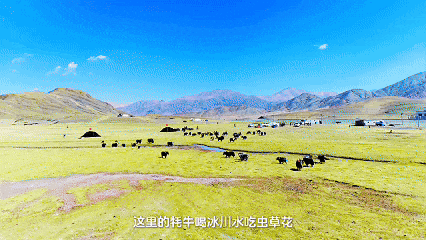 遇见高原的城｜卓玛带你游昂仁