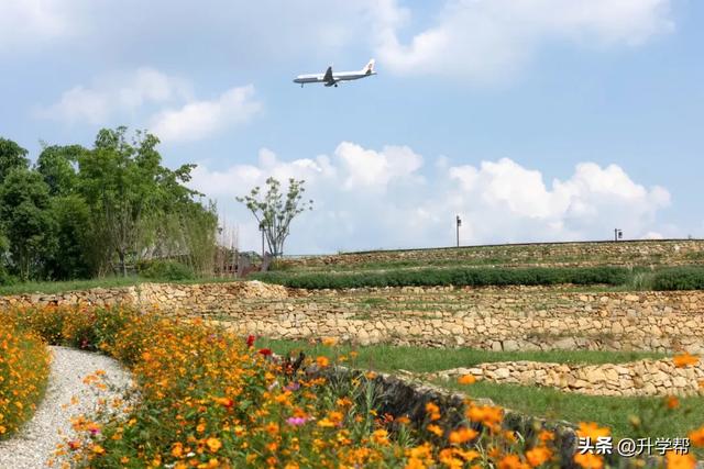 喜讯!瞿上田园正式获评国家3A级旅游景区!