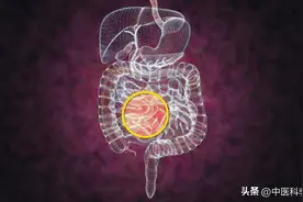 肚子发出5种“肠鸣音”，或是肠道疾病信号，千万别大意图片