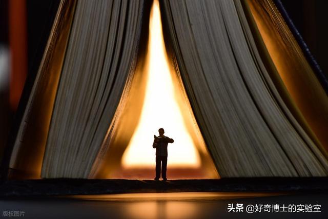 这4种你以为的缺点，其实是智商高的表现！