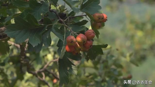 大山边的“糖醋”县，教你如何给生活加点甜