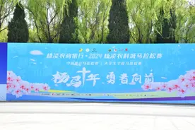 满城盛装迎“杨马”！图片