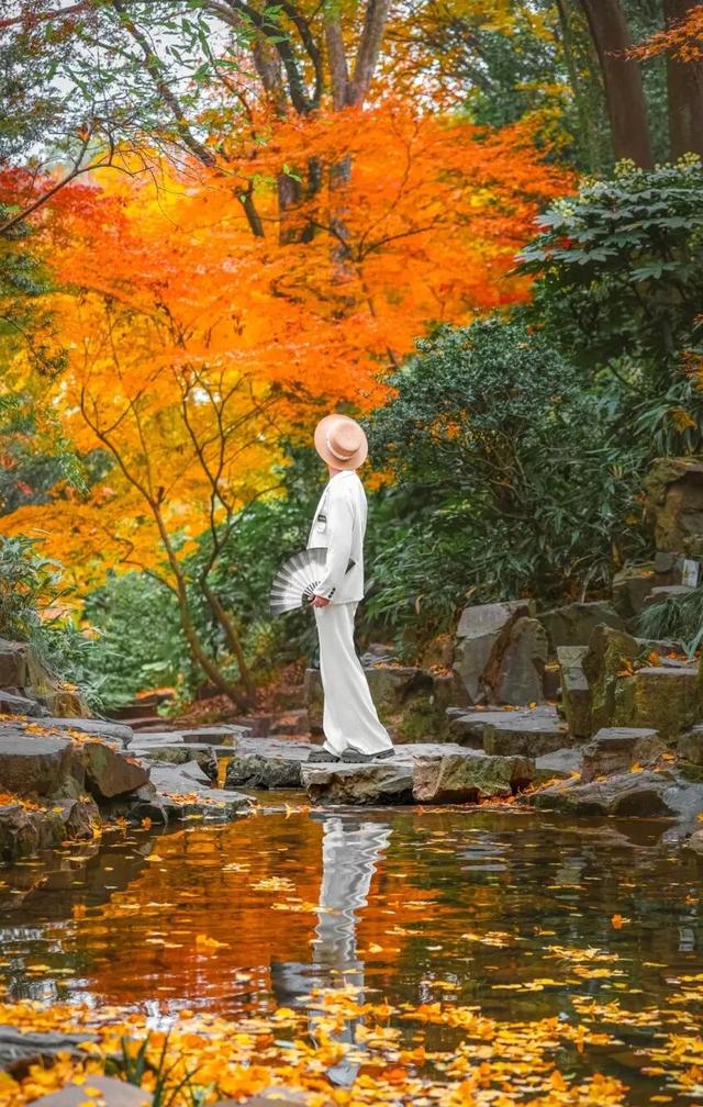 来虎丘山，这里有你更好看！