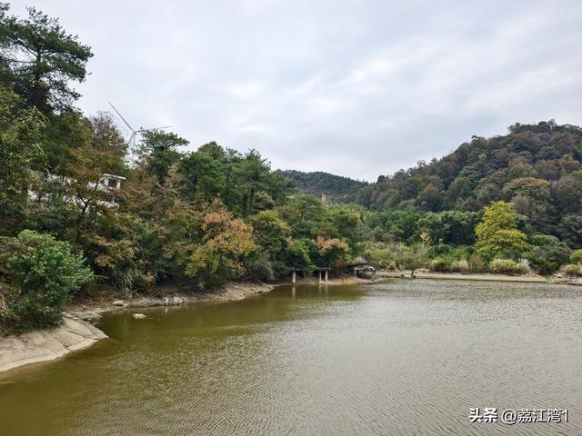 金叶映古村，醉美长岗岭