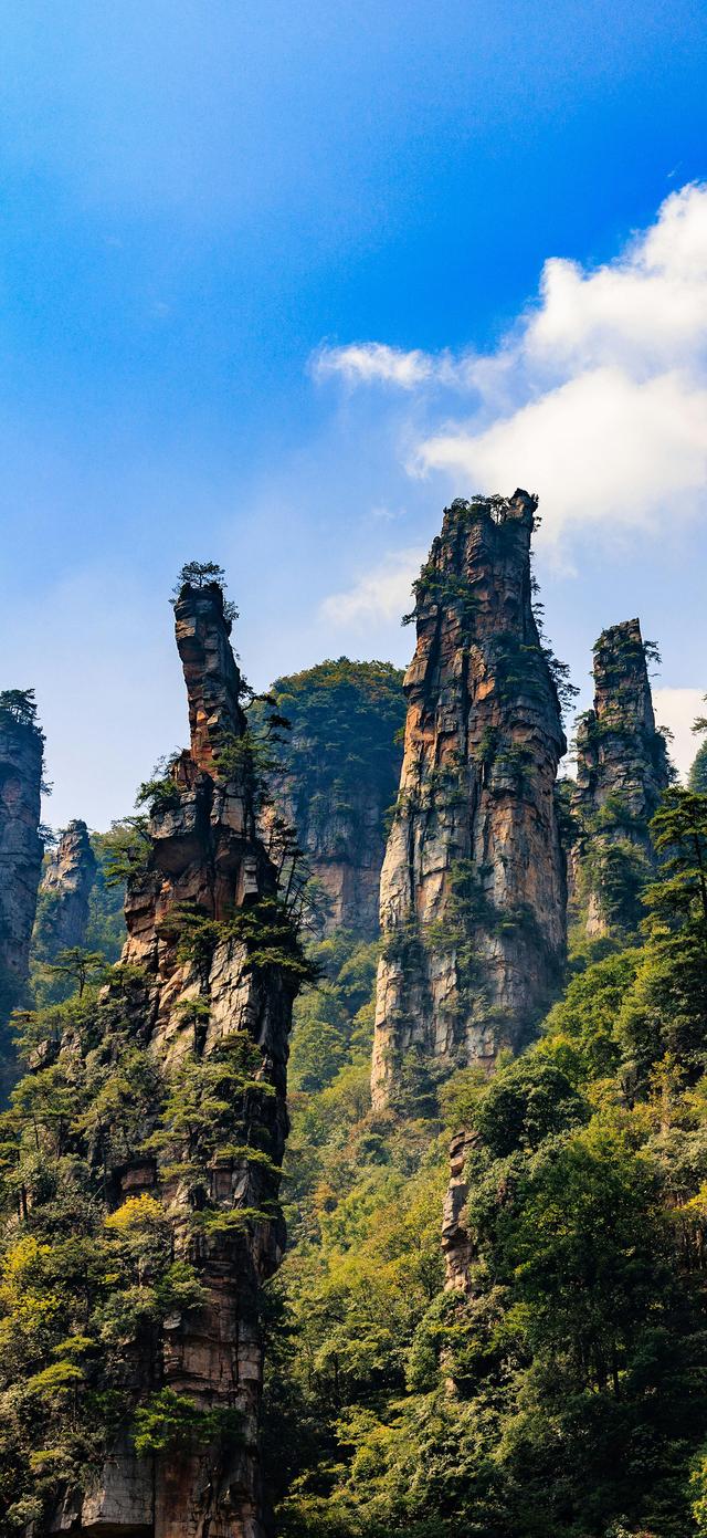 手机壁纸|治愈你的是风景，自然美景