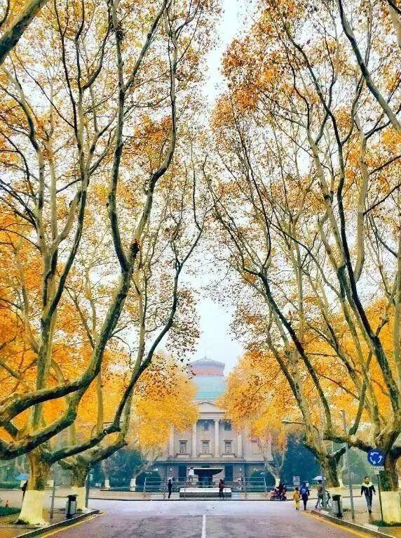 你的第一次旅行去了哪？这些地方藏着最暖的回忆