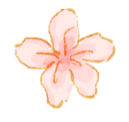 会“变脸”的花开了，醉了！去这些地方邂逅→