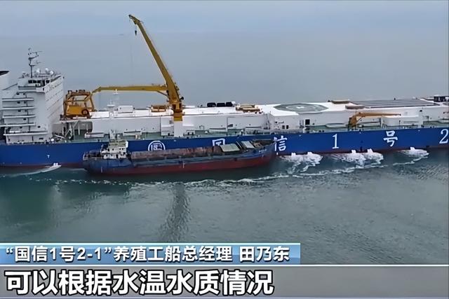 大国重器！沙海粮仓之后再现海上粮仓，15万吨级国字号重器成关键