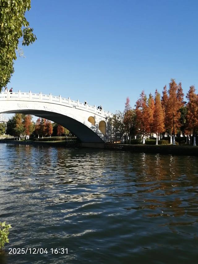 独来独往真像有些文章说得那么好吗?很多时候是迫不得已