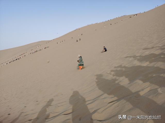 吃点核桃补补我这傻脑