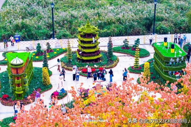 武汉今秋最大花展，限时一个月，免费！