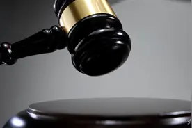 李向东被开除党籍和公职图片