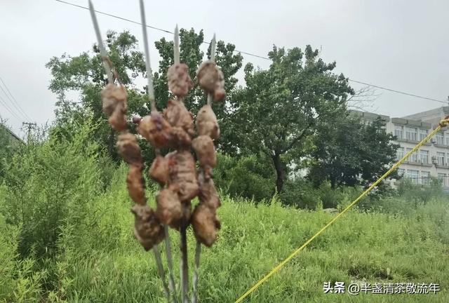 夏日，一次说走就走的旅行之（一）——游龙回头