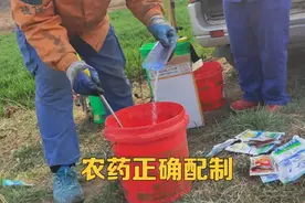 农药配比别瞎蒙！记住口诀 30 秒算出精准药量，配药又快又准！图片