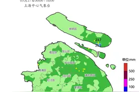一夜回到冬天！上海今1小时降温超5℃，明天更冷，还有雨！每年受伤的总是它图片