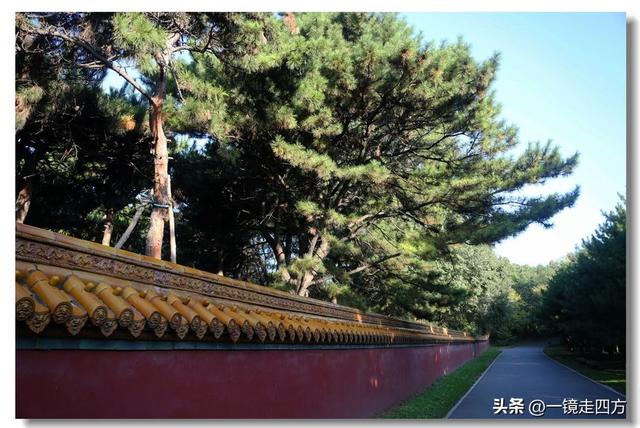 沈阳东陵郊野公园“精灵”出没