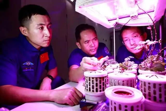 她是宇航员武飞的妻子，画一幅画送丈夫上太空，娶一个贤妻旺三代