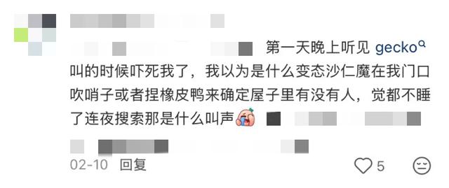 阻止我去巴厘岛旅游的唯一理由: