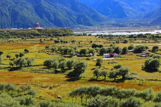 林芝凭什么是“西藏江南”？答案在这里。