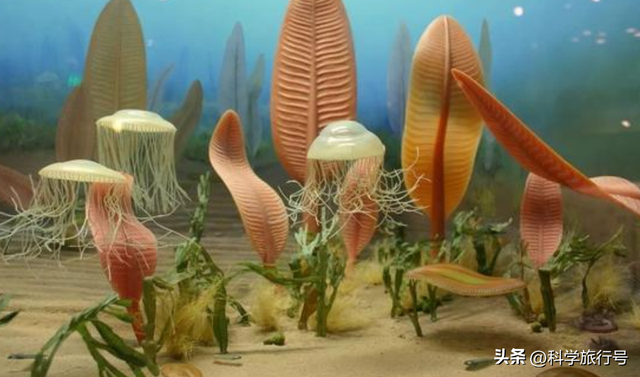地球是个巨大的培养皿？失败品被一键清除？神秘的埃迪卡拉生物