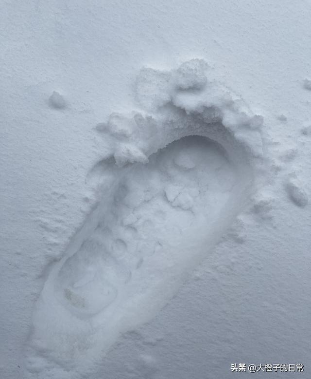 疯了！江浙沪追雪追成 “春运”！太子尖堵到弃车暴走，民宿爆满！