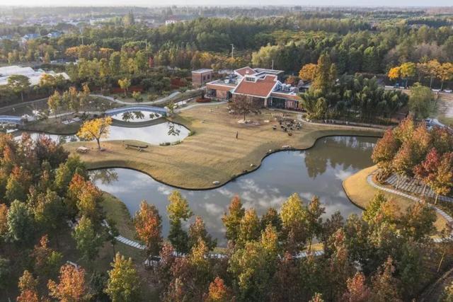 初冬逛沪郊!奉贤、崇明限时优惠来啦