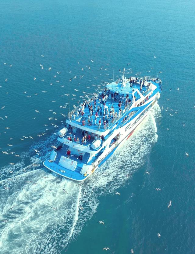 山东荣成：天鹅与海鸥齐飞，这座低调滨海城，藏着北纬37°的浪漫