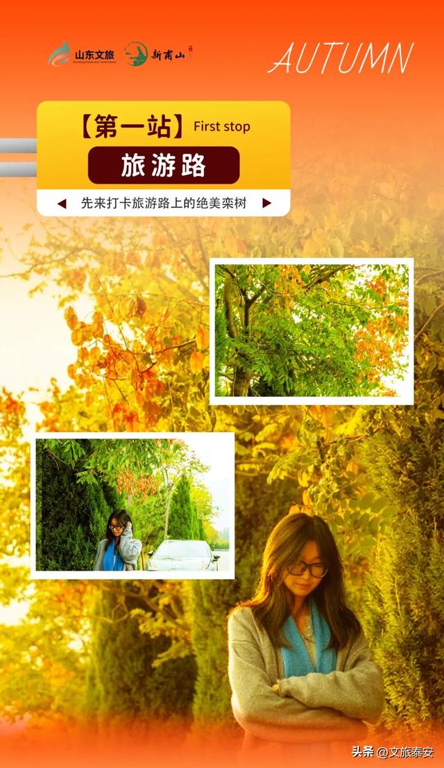 来赏银杏啦！还记得那年 “杏” 花微雨，你说要来新甫山~