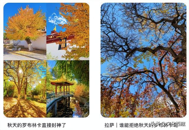 太美了！假如初冬去拉萨，请一定要来这里打卡！