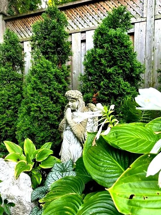 “！阴花不能进阳宅”，家里若有这5种花，请赶紧“搬出去”！