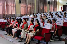 曾都区白云湖小学举行“红领巾奖章”一星章颁章仪式图片