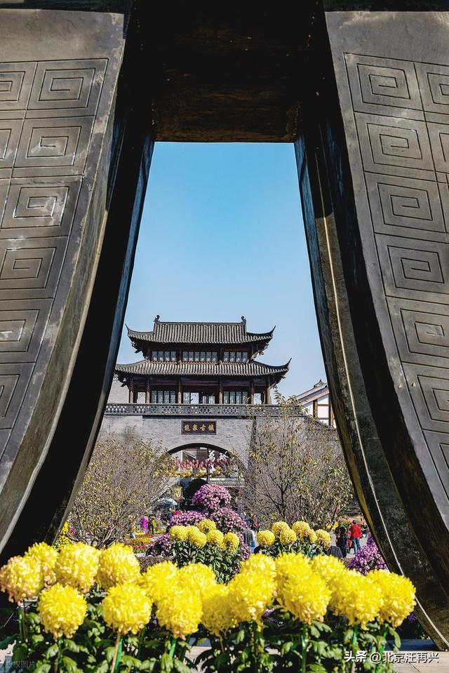 佳节又重阳，汴菊遍地香，赏菊花，还得到汴梁，大宋堂皇