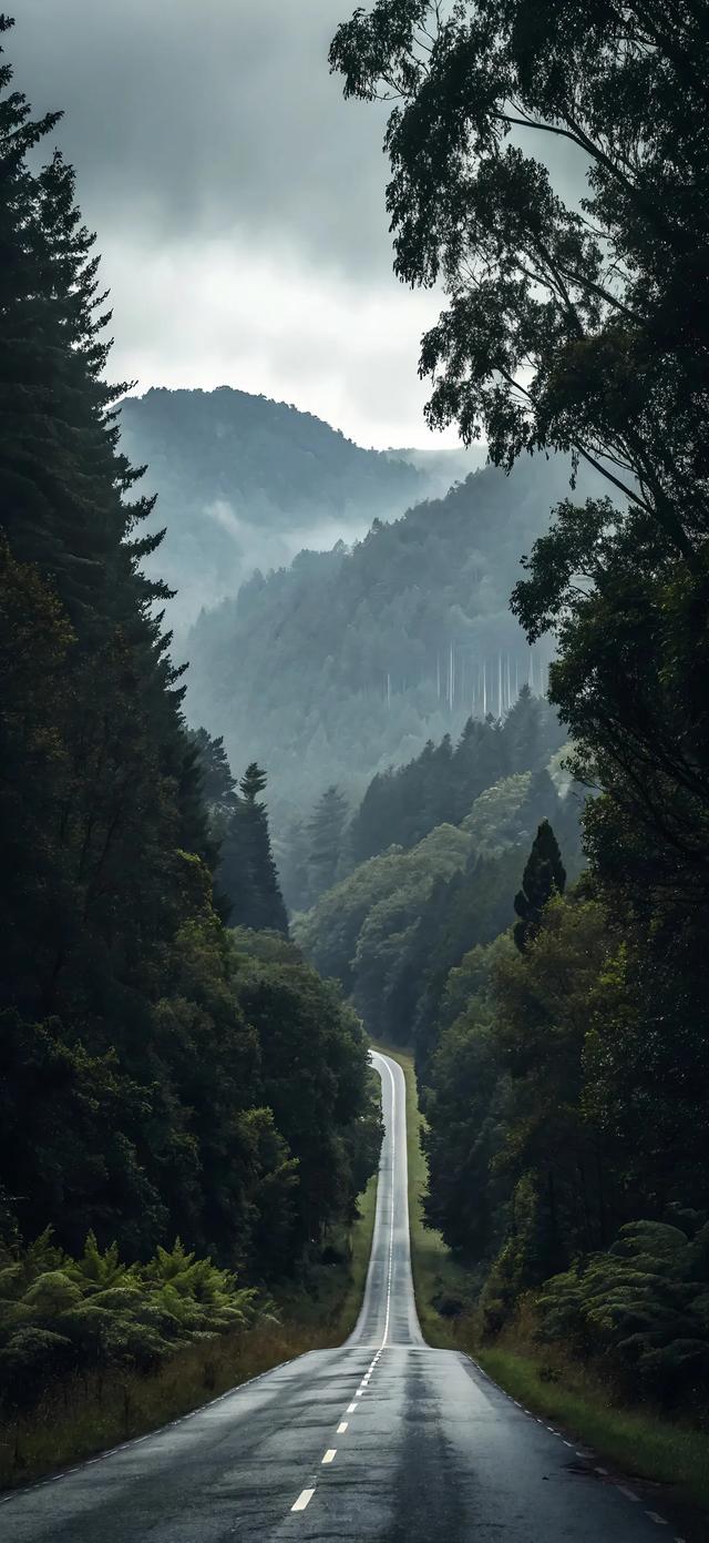 壁纸| 希望我们都能成为自由又自律的人