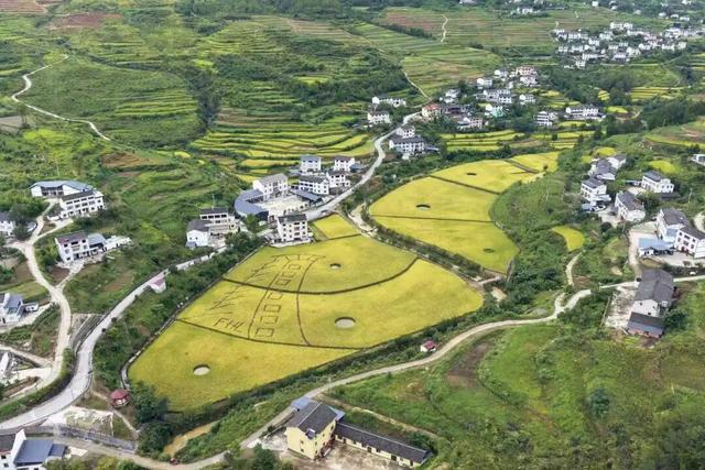 2025利州秋色，每一帧都是限定浪漫