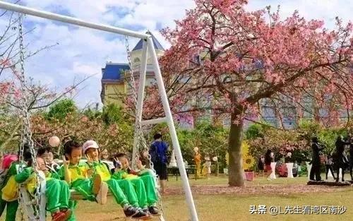 曾经红极一时！南沙这个知名景区彻底落幕！如今杂草丛生一片荒凉