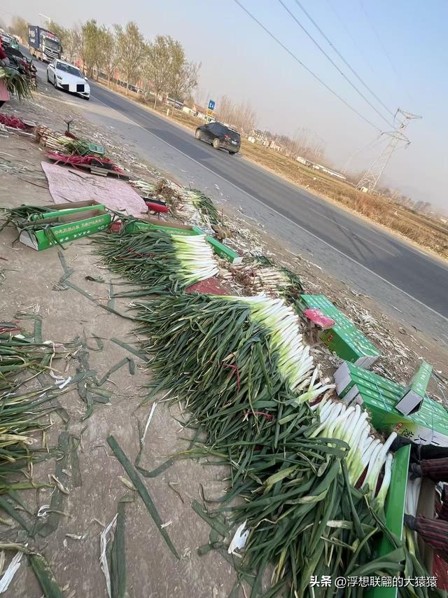 石斑鸠村，一座大山深处有着古老历史和众多红色革命故事的小山村