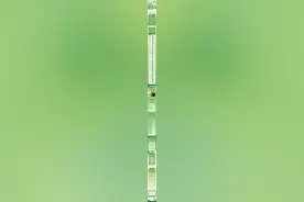 扬州大学2025届保研数据大公开！592名学子成功保研！图片