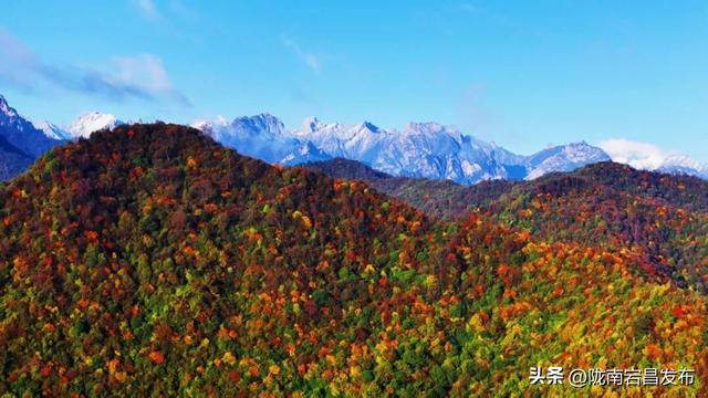 漫步雷古山：踏响官鹅沟的生态诗行