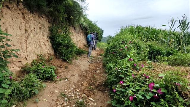 曼天垴，一座被遗忘的荒山