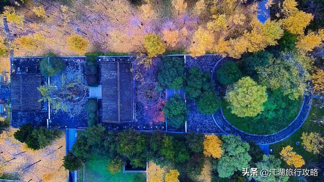 西安曲江富人区墓景房，地下埋着秦二世，地上是银杏林和博物馆