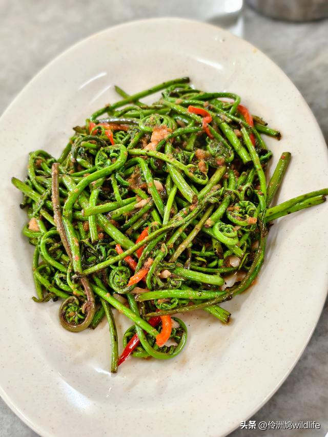 马来西亚(33)砂拉越州⑦美里市加拿大山、海滨公园等